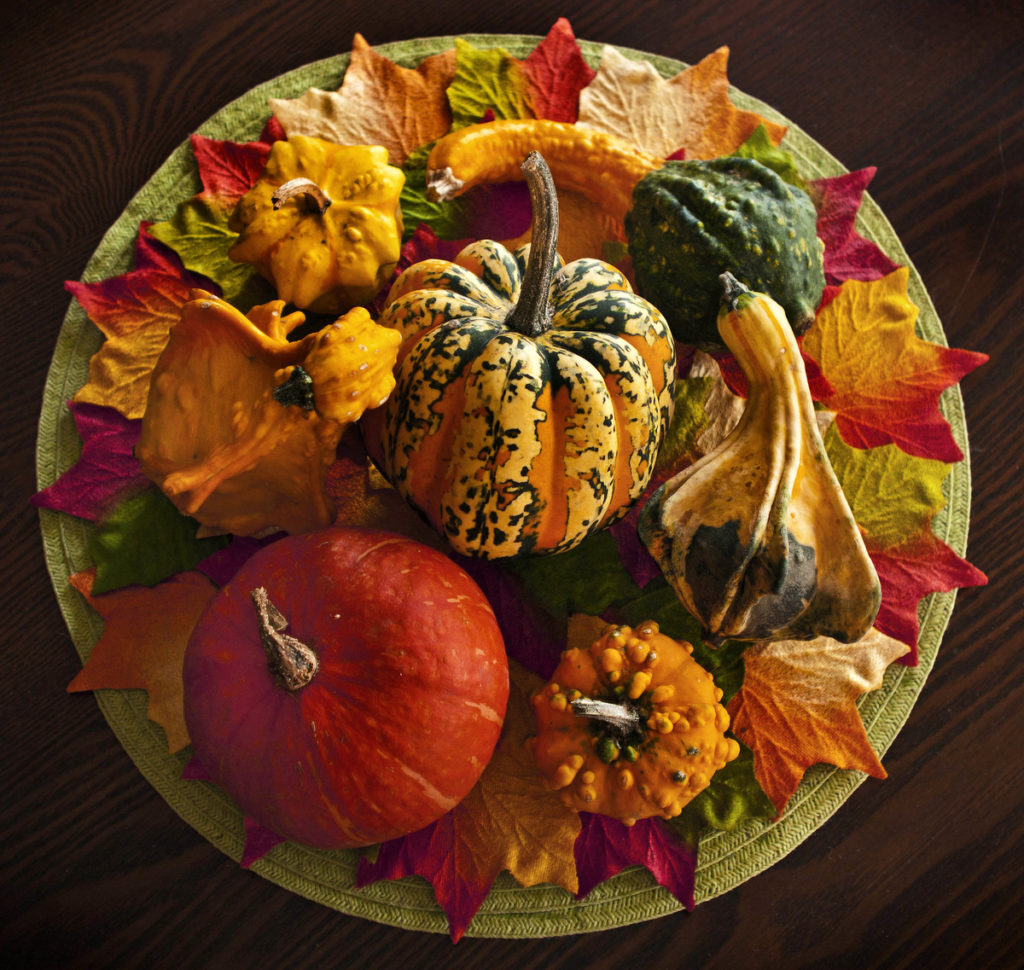 Autumn Centerpiece with a selection of gourds and small pumpkins