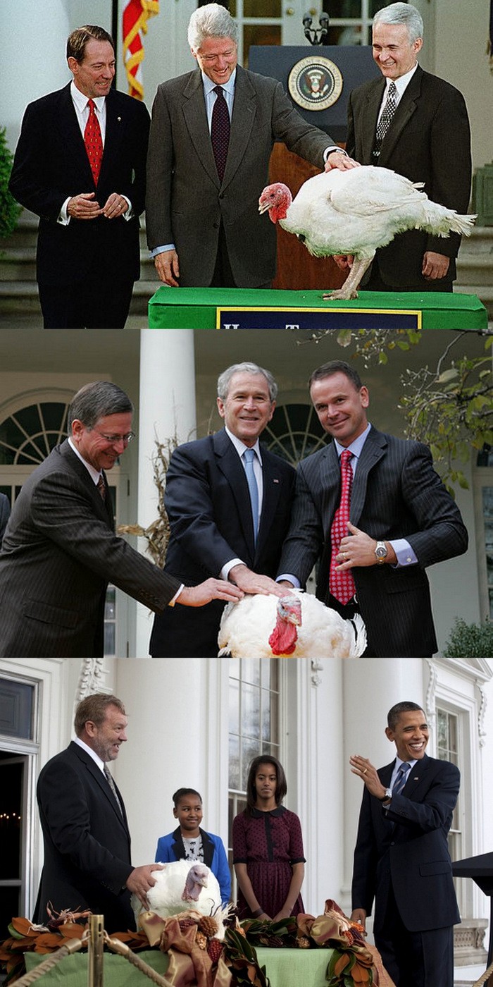 Presidential turkey pardons