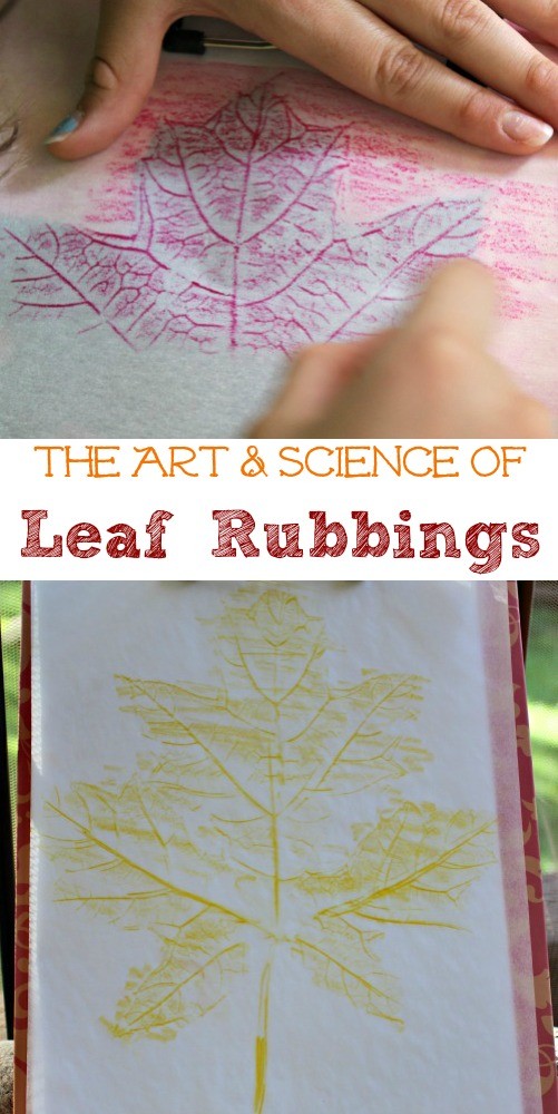 leaf rubbing crafts for kids
