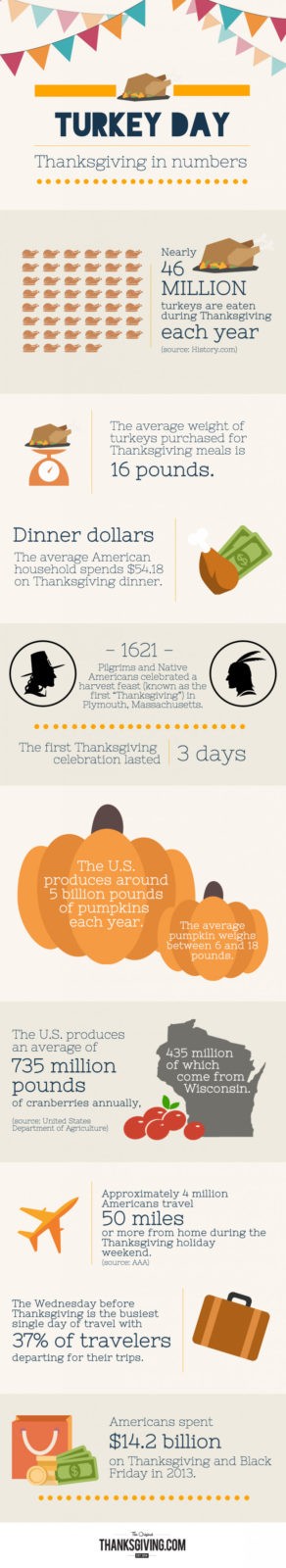 Thanksgiving in Numbers Infographic