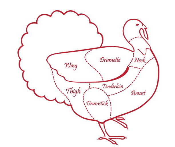 Guide to turkey cuts - MakeItGrateful.com
