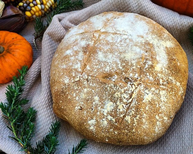 Homemade no-knead bread for thanksgiving dinner