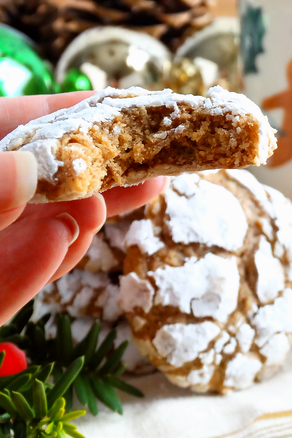 12 Christmas Cookies that Aren't Boring - Gingerbread Gooey Butter Cookies