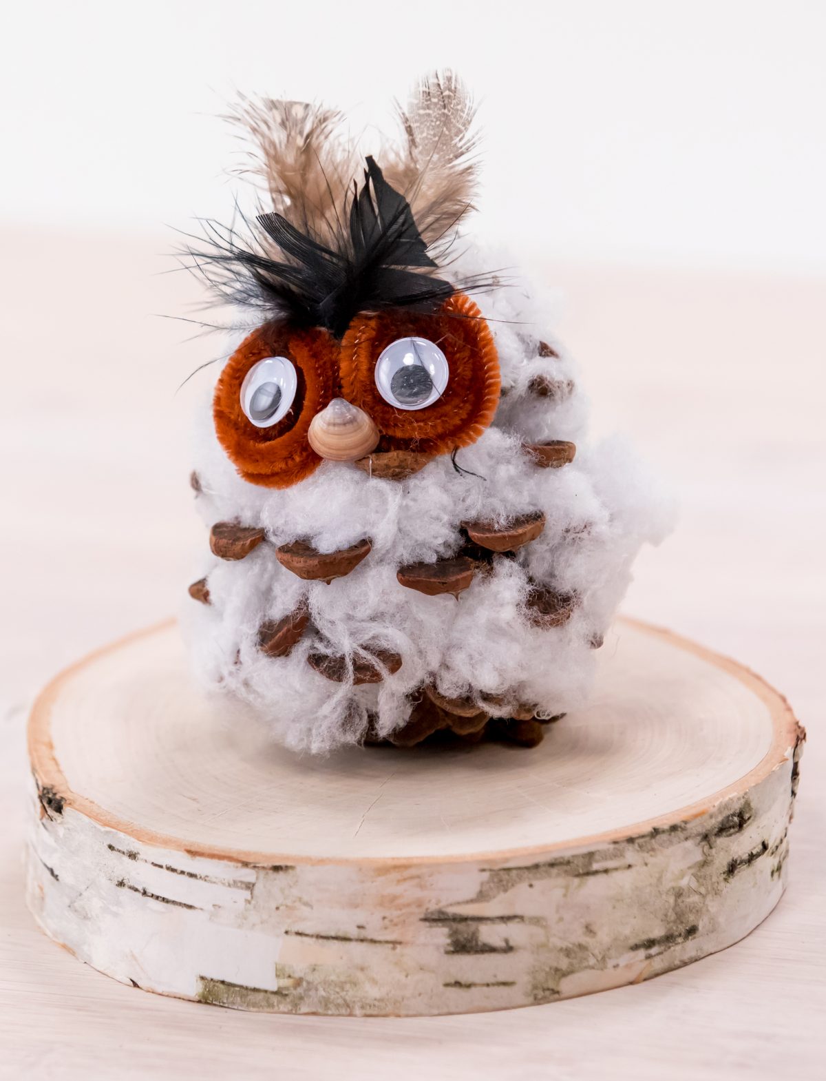 Your finished pinecone owl!