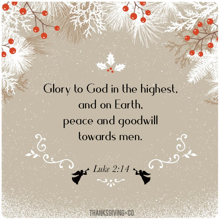 Christmas quote from the bible - Luke 2:14