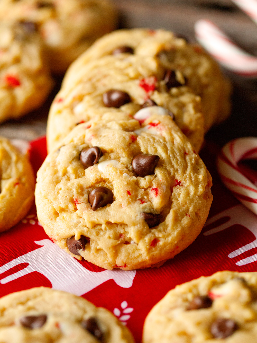 Chocolate candy cane cookies
