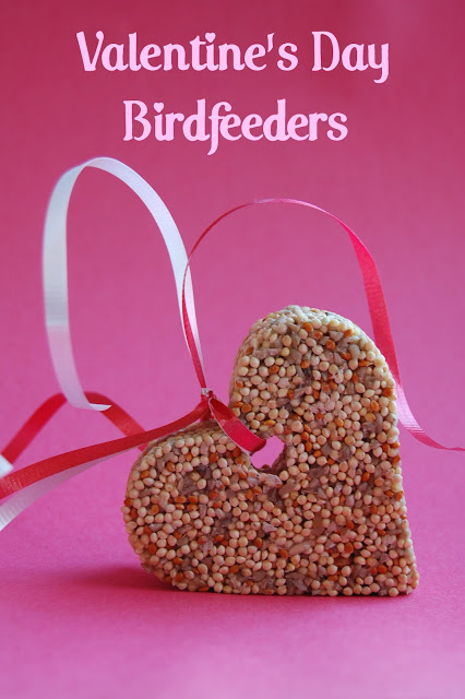 Love birds Valentine's Day bird feeders