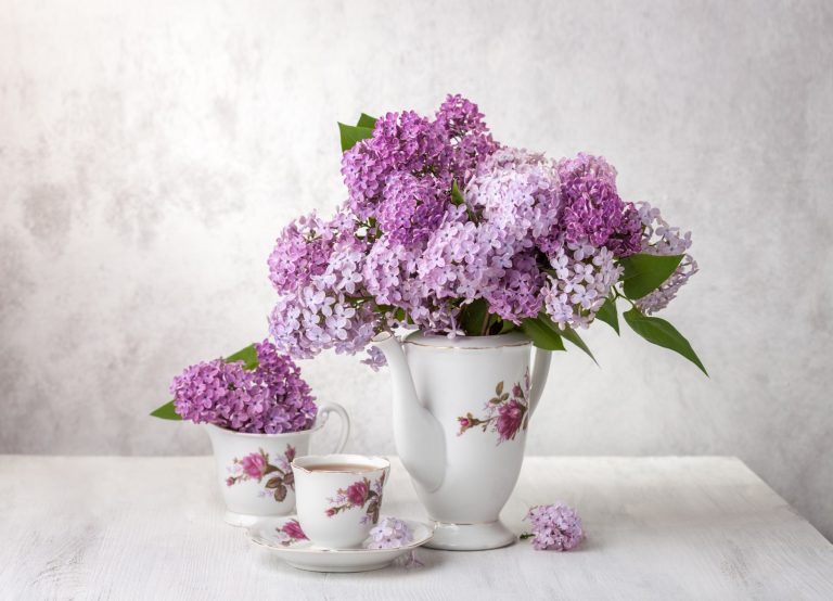 flower-in-a-teapot