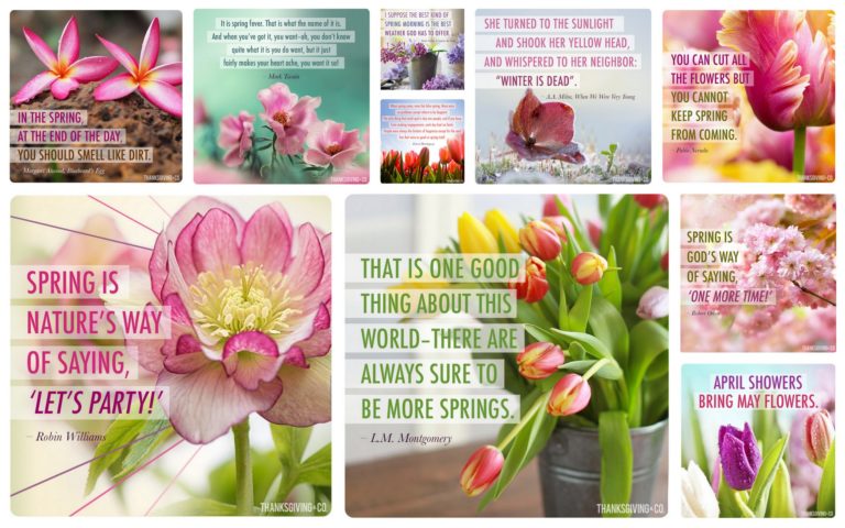 10 bright and happy spring cards to share