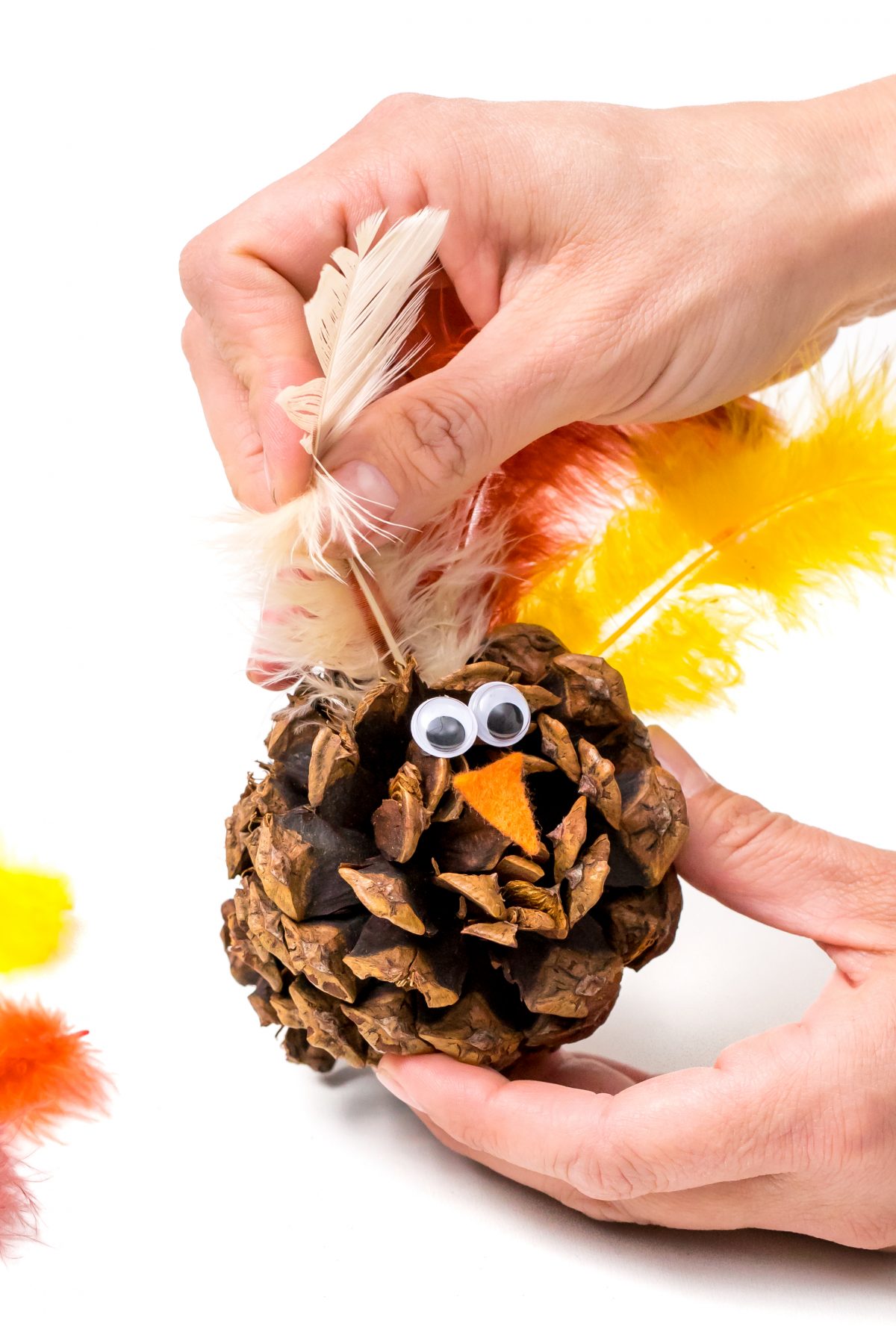 Glue feathers to pinecone