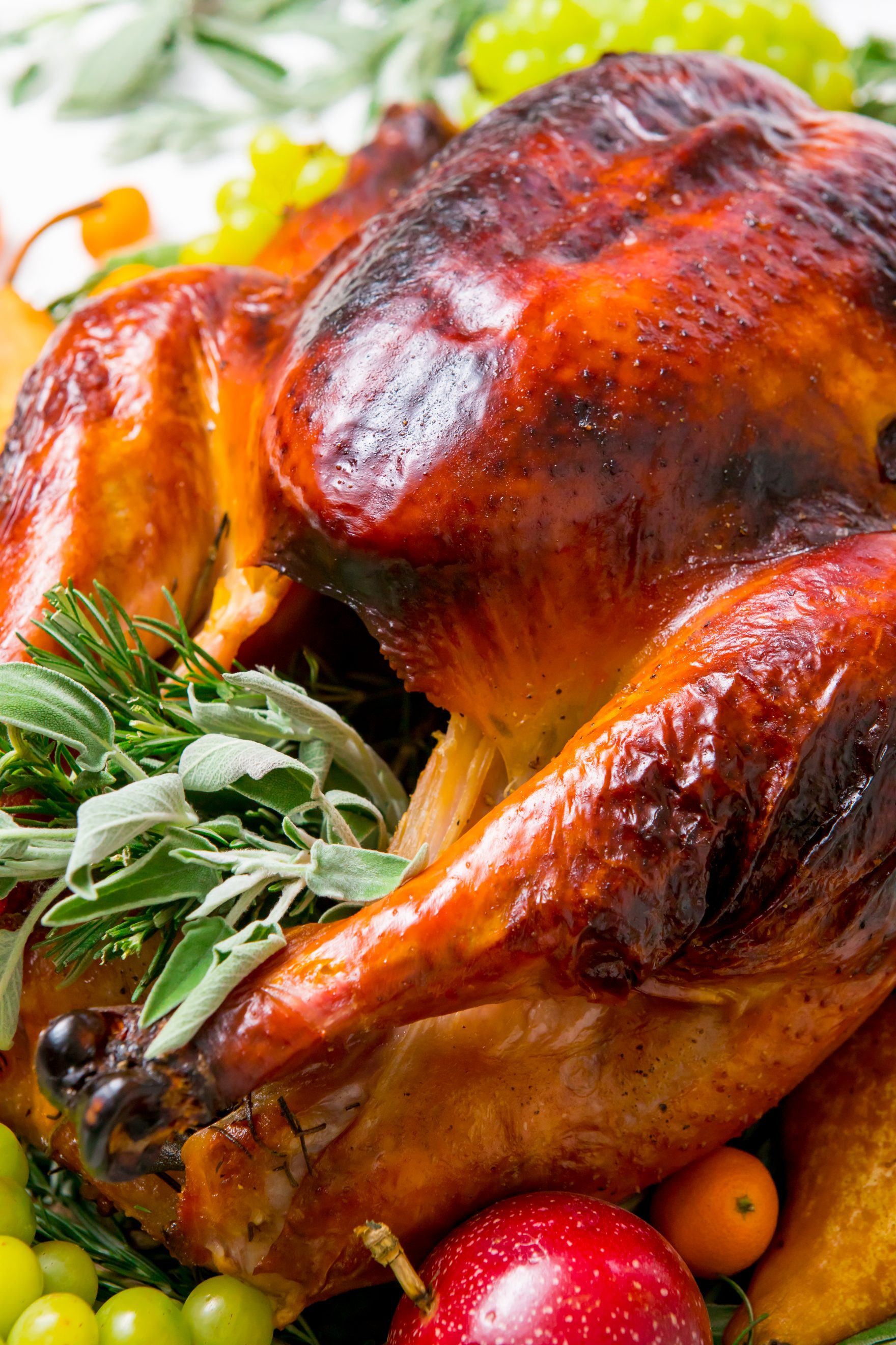 Martha Stewart's perfect roast turkey recipe for the perfect holiday dinner
