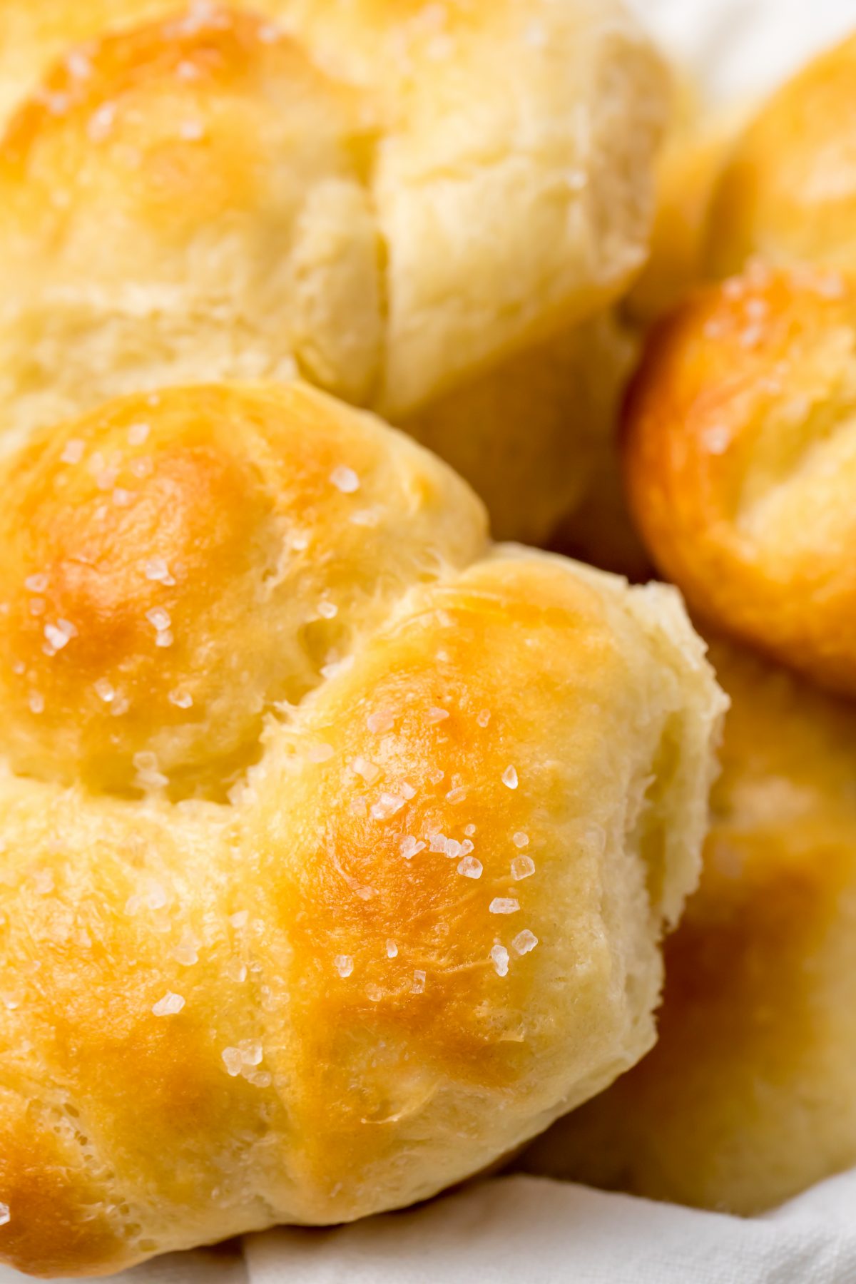 Toasty on the outside and soft on the inside, these rolls will leave everyone wanting more!