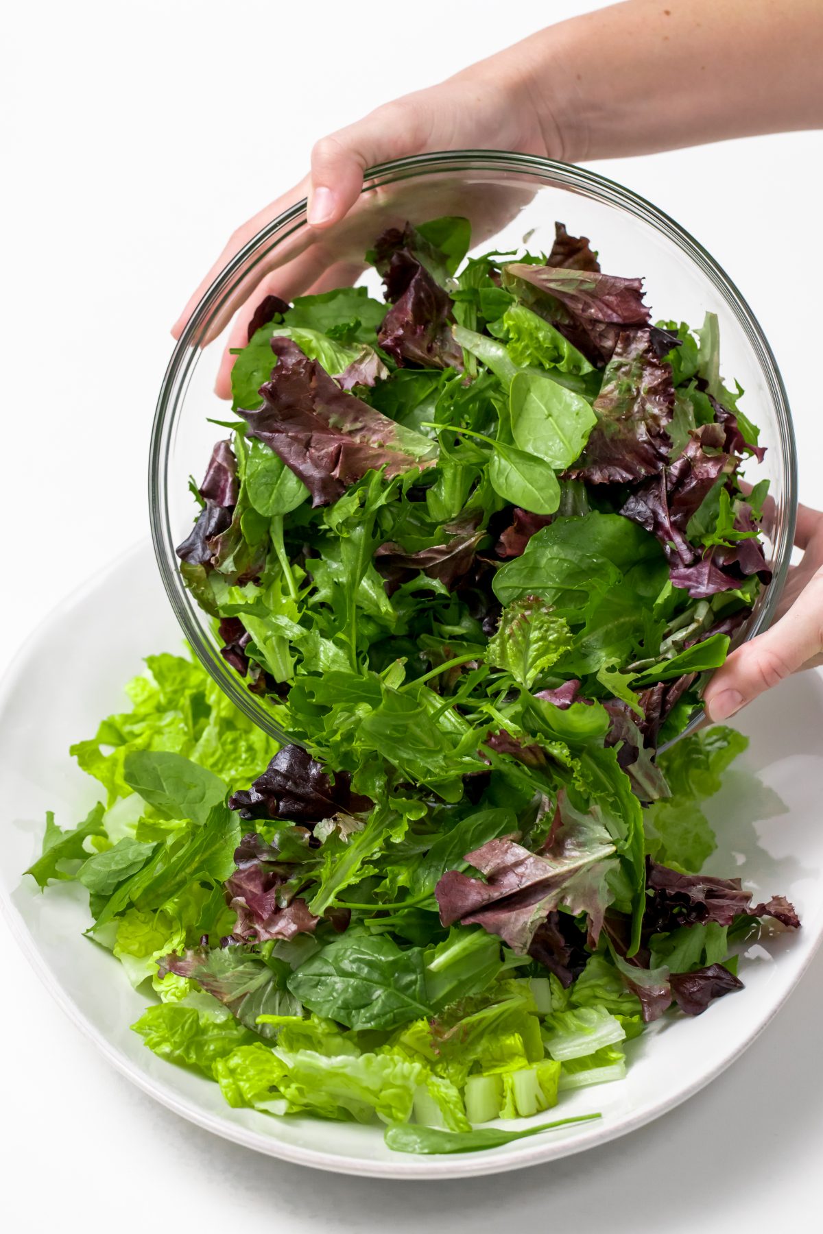 Add mixed field greens to leafy romaine