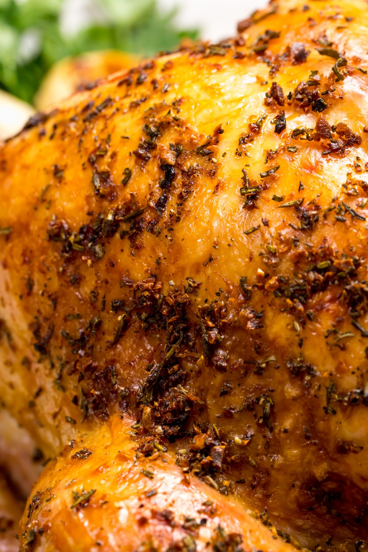 5D4B8488 - Rosemary lemon roasted turkey - The perfect centerpiece for your holiday dinner