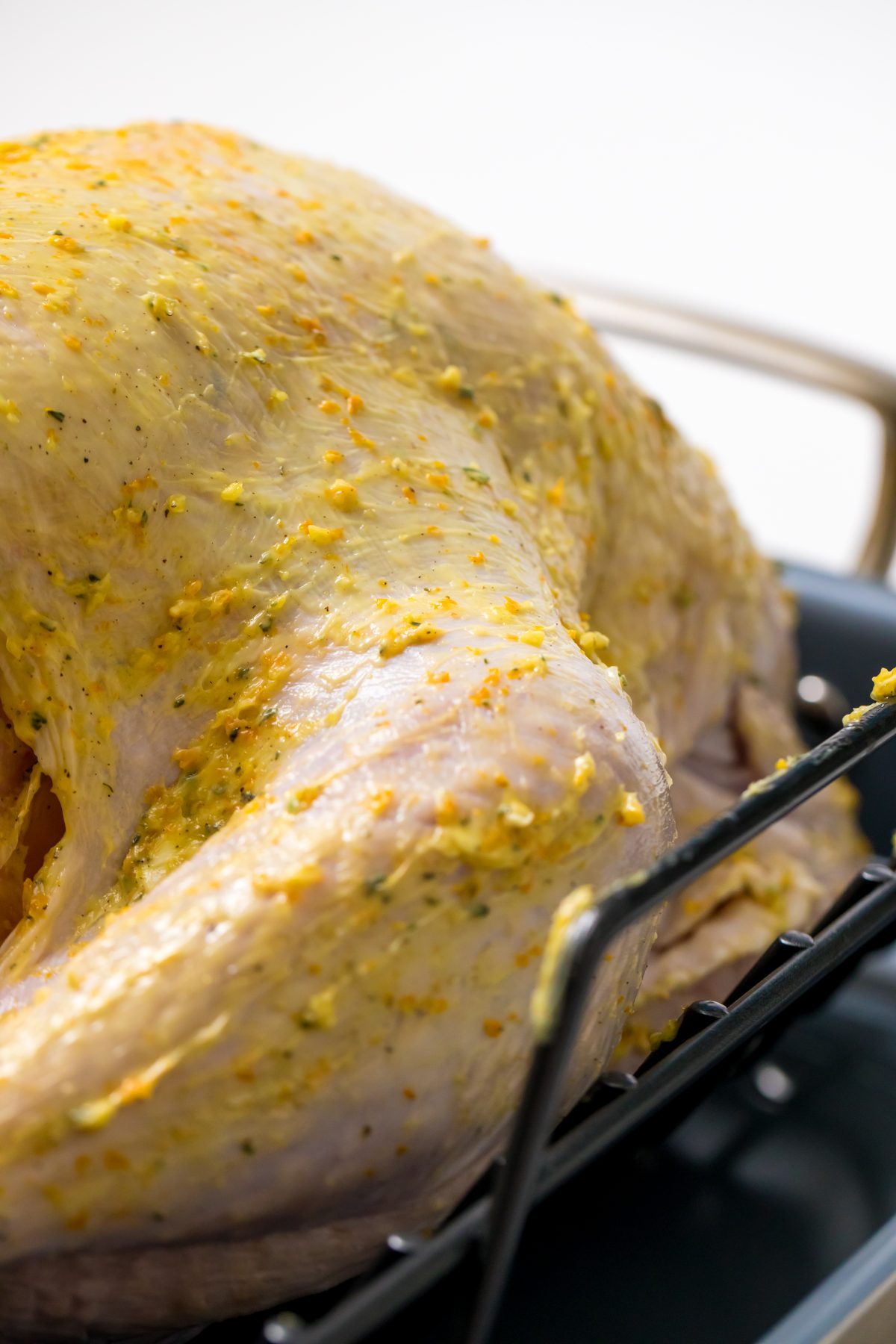 5D4B6975 - Orange Anise and Thyme Turkey - turkey covered in orange compound butter