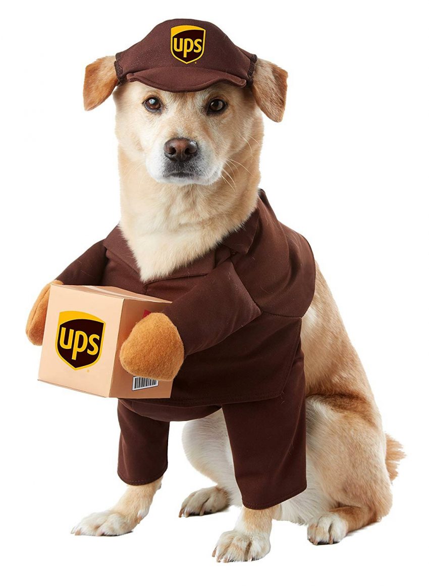 Costumes UPS Pal Pet