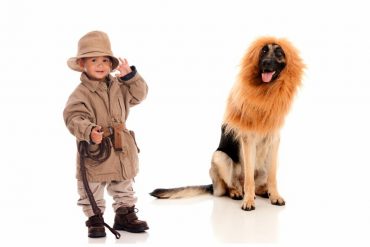best-pet-halloween-costumes-dog-lion-1
