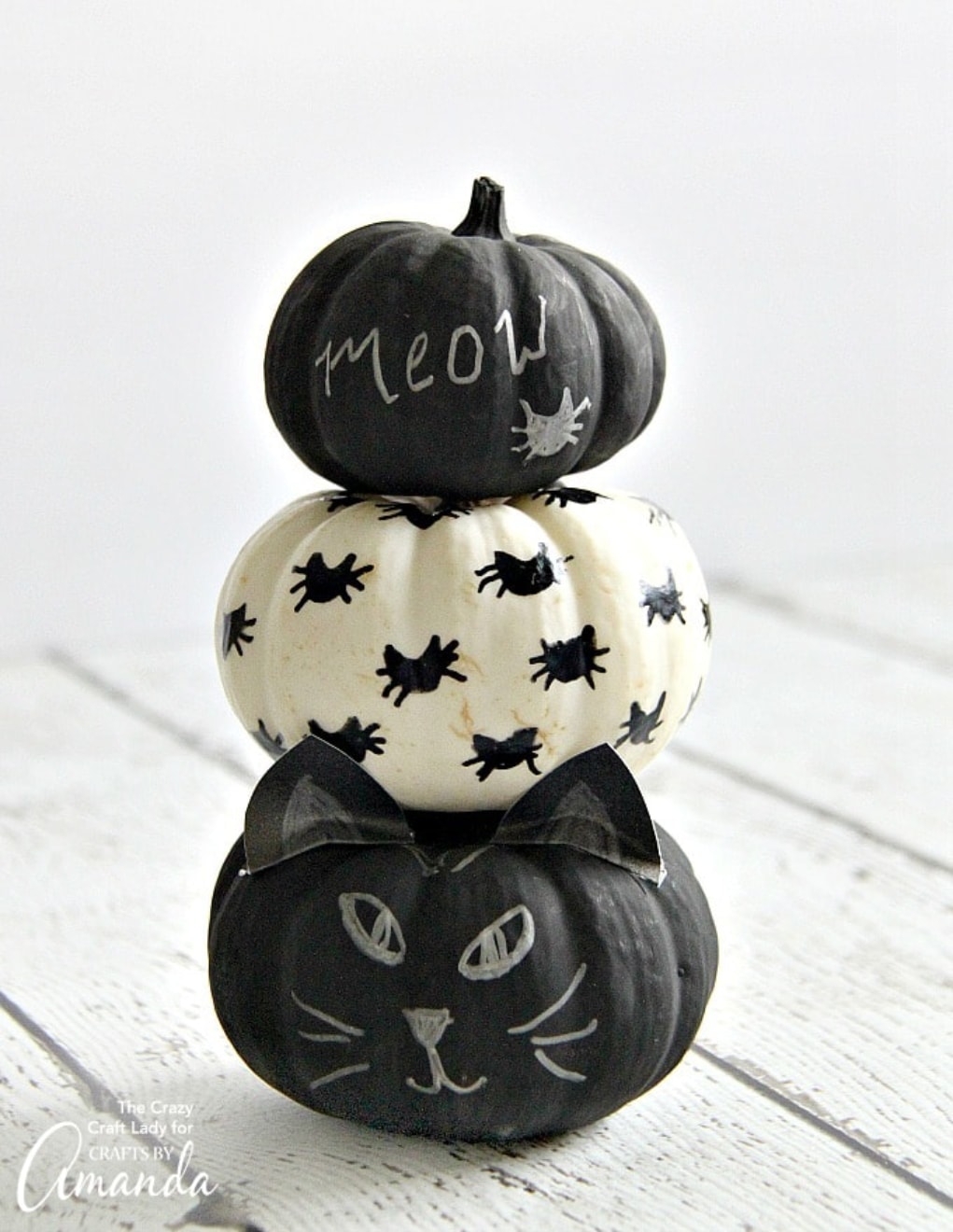 Halloween pumpkin designs black cat pumpkins