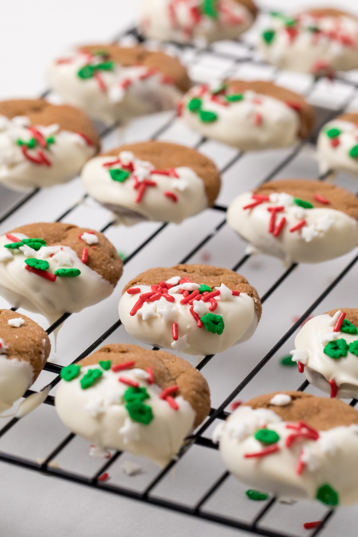 5D4B5643 - White Chocolate Dipped Gingerbread Cookies