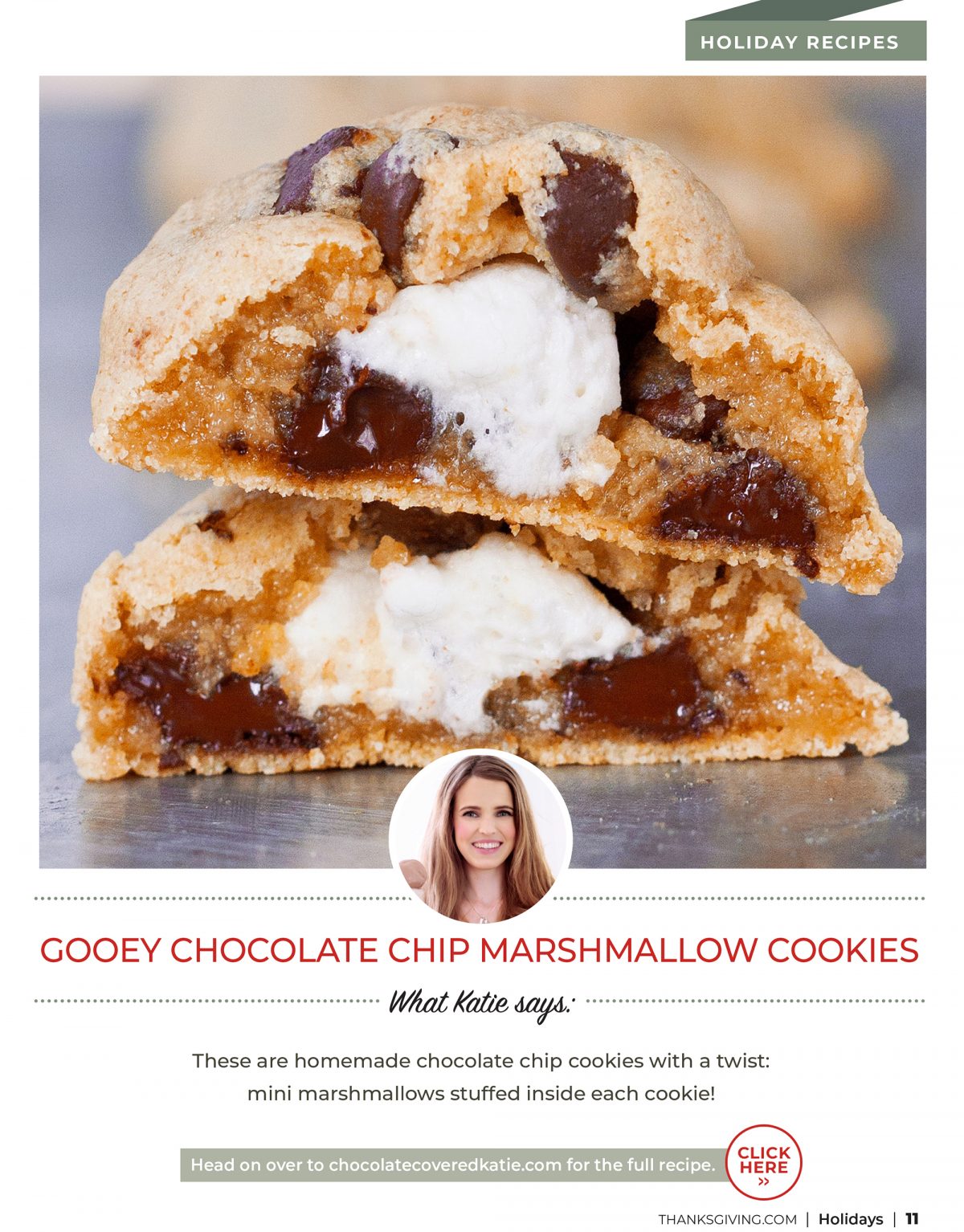 Holidays eCookbook Final-2-chocolate-chip-marshmallow-cookies