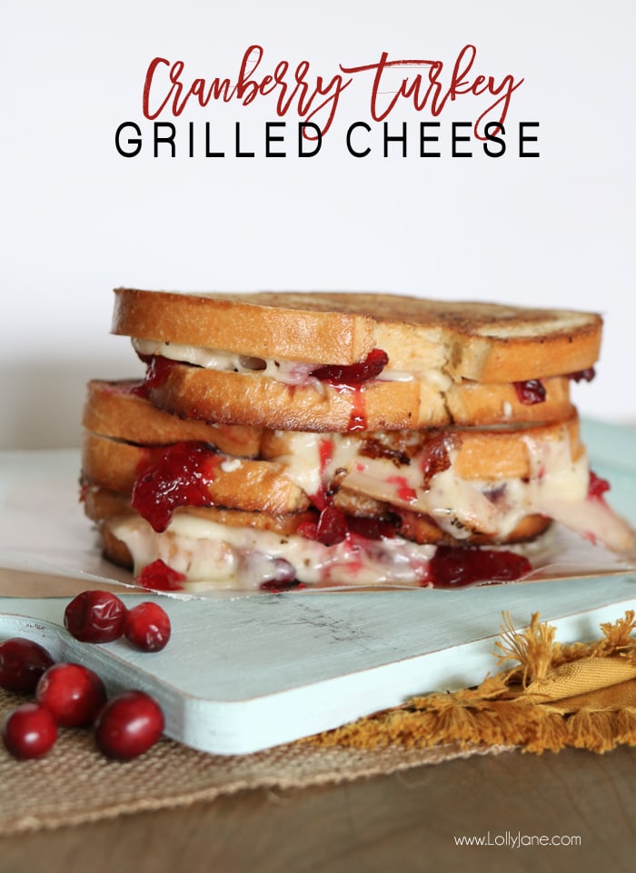 cranberry-turkey-grilled-cheese-sandwich