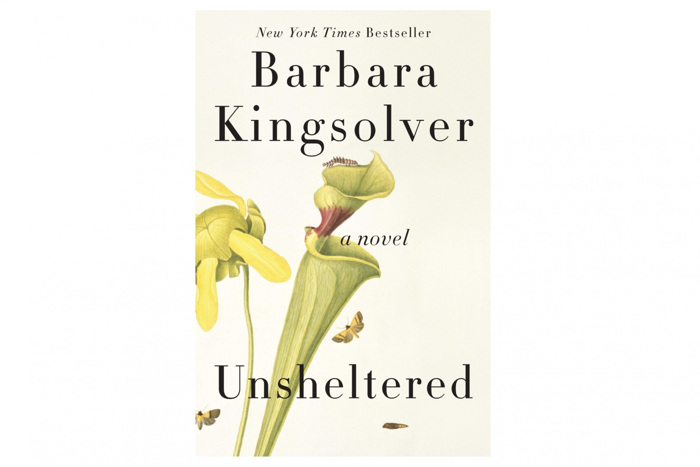 Books to read to kick your New Year off right 'Unsheltered'