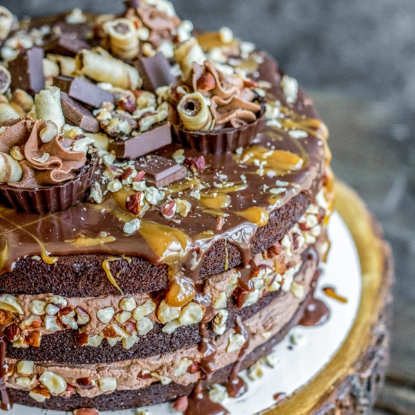 Chocolate-Hazelnut-Brownie-Cake