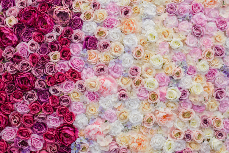 multi-colored-roses