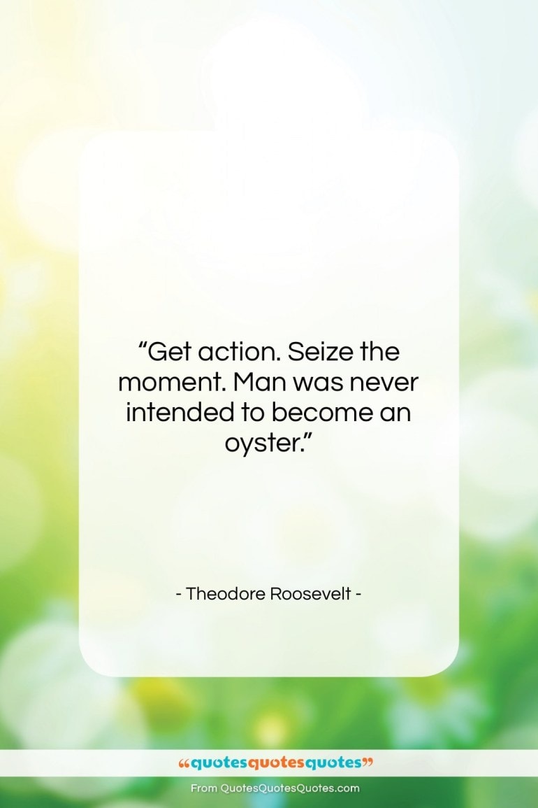 theodore-roosevelt-quote-get-action-seize-the-moment-man-was