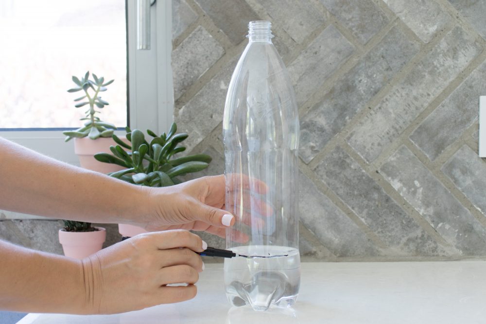 clear water bottle for mold
